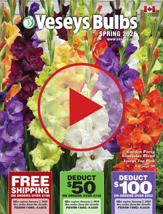 2026 Spring Catalogue